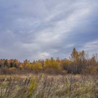 Небо октября... :: Владимир Жданов