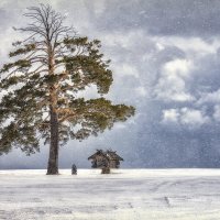 В гостях у сказки. :: Марина Юдинских