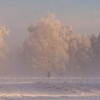 Про нежность зимнего утра. :: Вадим Басов