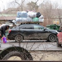 В гости под Новый год. :: Егор Бабанов