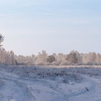 Зимний полдень. :: Вадим Басов