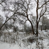 Сплетения :: Денис Бочкарёв