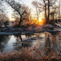 Восход на Лесном Тамбове :: Сергей 