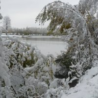 С  Наступающим  Новым  Годом  ! :: олег свирский 