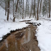 ручей овраг снег деревья :: Владимир 