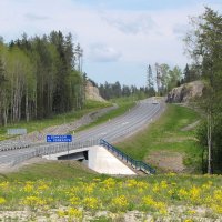 Мост через р. Вонкаоя :: Александр Ильчевский 