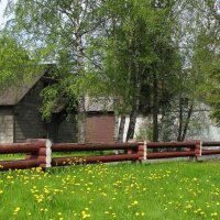 Набережная улица :: Александр Ильчевский 