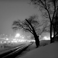 В городе туман... :: Владимир Шошин