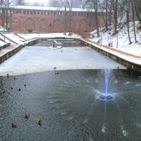 Городской сад в туманный день декабря. :: Милешкин Владимир Алексеевич 