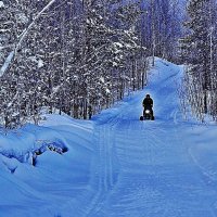 На снегоходной дороге зимой! :: Владимир 