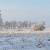 Красавица зима. :: Вадим Басов