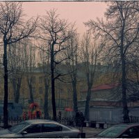 My magic Petersburg_02398 ул. Некрасова :: Станислав Лебединский