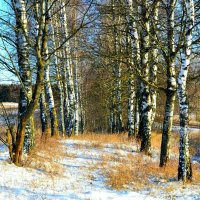 Первое января в предыдущие годы (репортаж из поездок по области) :: Милешкин Владимир Алексеевич 