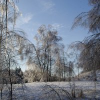 Солнечный день :: Михаил Колосов 