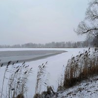 Первый день Нового года... :: Мария Васильева