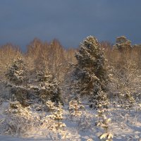 Зимний пейзаж :: Сергей Владимирович Егоров