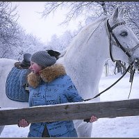 Прогулка в любую погоду. :: Александр Дмитриев