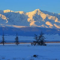 Курай...Восход :: владимир 