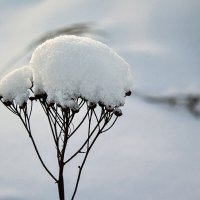 *-* :: Александр Трухин