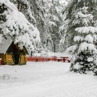 У леса на опушке жила Зима в избушке :: Елена Пономарева