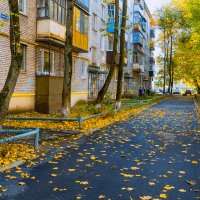 А у нас во дворе :: Александр Силинский