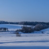 Зимний день :: Наталья Rosenwasser