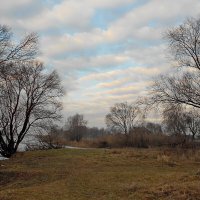 То ли осень, то ли зима :: Елена Пономарева