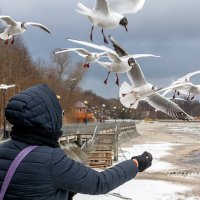 Балтика :: Дмитрий 