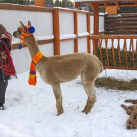 Изюмка и её малыш :: Анастасия Северюхина