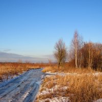 По ледяной дорожке :: Андрей Снегерёв