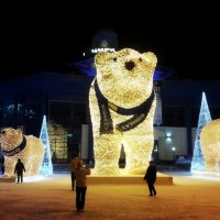 Семейство медведей в гостях у тюменцев :: Любовь Сахарова