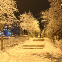 Зимний вечер :: Ольга 