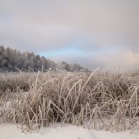 Морозный пейзаж с туманом :: Сергей Шаврин