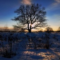 Солнце клонится к закату... :: Владимир Шошин