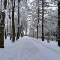 Январь в городе... :: Мария Васильева