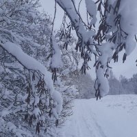 снежная тропинка :: BoxerMak Mak