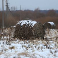 *** :: Вячеслав Макушин