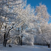 *** :: Владимир Безбородов