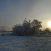 Идём туда,где светит солнце. :: nadyasilyuk Вознюк