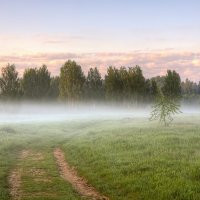 Я приглашаю Вас в туман.. :: Юрий Спасенников