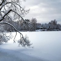 Про смоленскую зиму. :: Милешкин Владимир Алексеевич 