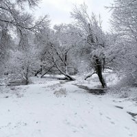 Вода под снегом. :: Милешкин Владимир Алексеевич 