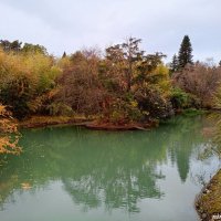 Адлер. Дендропарк "Южные культуры" :: Нина Бутко