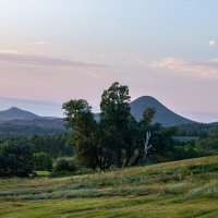 Краски лета :: Дарья Рогозина