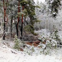 картинки января :: Александр Прокудин