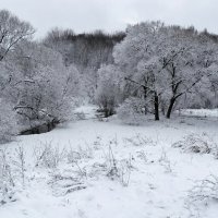 Зима - январь :: Милешкин Владимир Алексеевич 