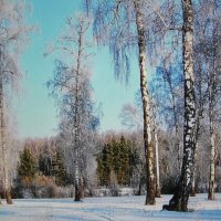 В зимнем лесу :: Людмила Смородинская