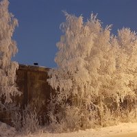 В зимних сумерках :: Ольга 