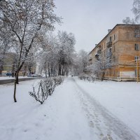 Снежная погода :: Александр Синдерёв