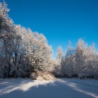 *** :: Владимир Безбородов